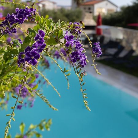 Villa Aqua Žaborić Extérieur photo