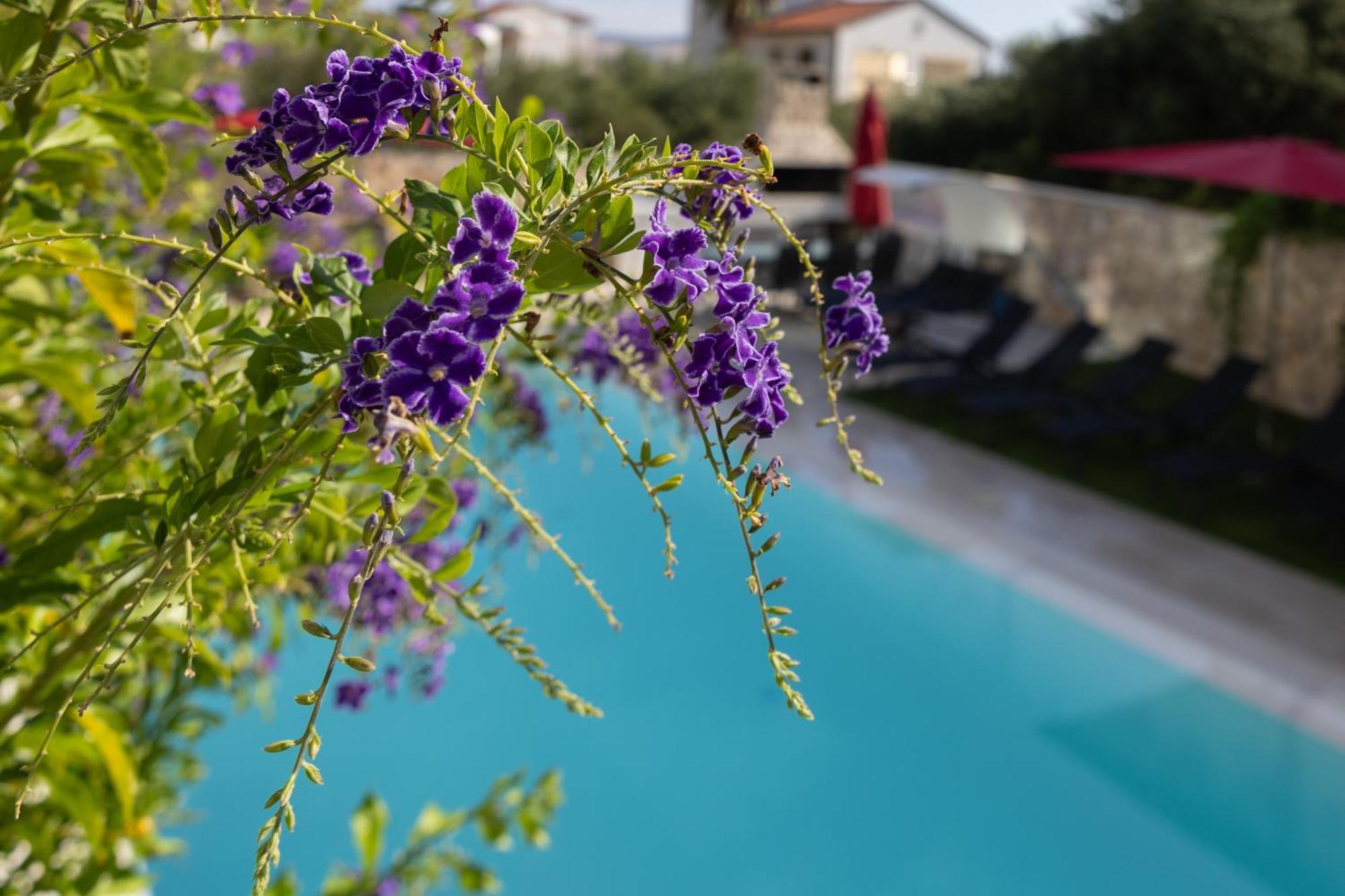 Villa Aqua Žaborić Extérieur photo