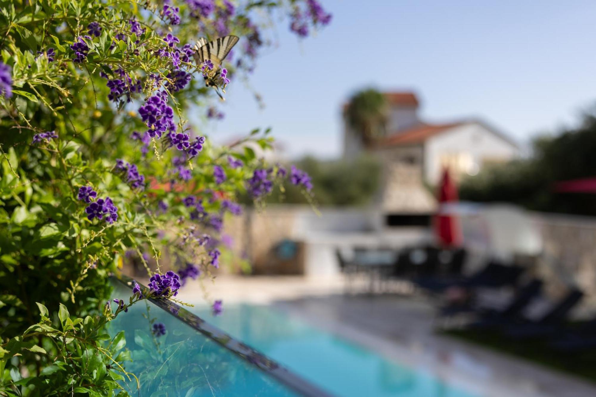 Villa Aqua Žaborić Extérieur photo